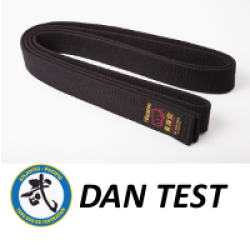 (S) Testing - Dan Fees