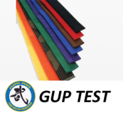 (S) Testing - Gup Fees