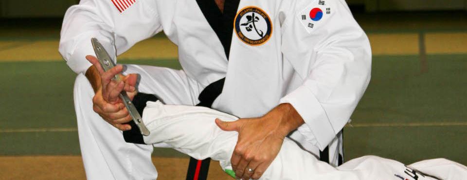 Group training tours worldwide. State of the art Tang Soo Do curriculum that maintains our tradition (Moo Do) while addressing the needs of the 21st century.