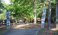 DSC00736