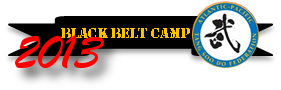 bbcamp2013.png