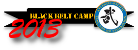 bbcamp2013.png