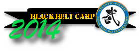 bbcamp2014.png