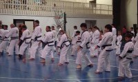dsc00571_a